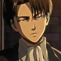 Levi Ackerman 