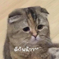 เด็กๆทั้งหมด
