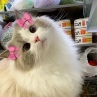 แอดไง