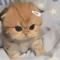 คนดู
