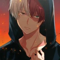 shoto todoroki