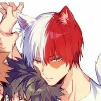 Shoto Todoroki