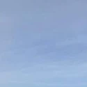 orang