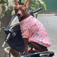 Chồng Em =))