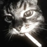 catto the second