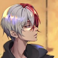 Shoto Todoroki