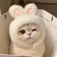 แอ๊ด