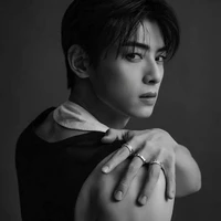 cha eun woo