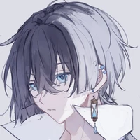 vanitas (13 anos)
