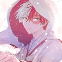 SHOTO TODOROKI
