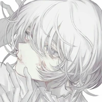 hikanjing [T.Hikami MEH]