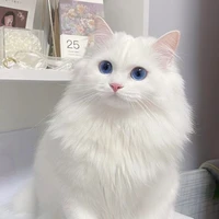 ซาเรีย🐱