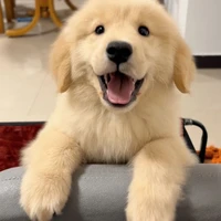 ชินจัง🐶