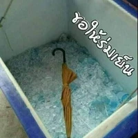 แอด🤟