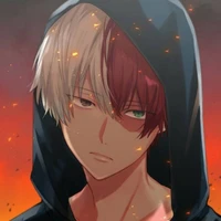 shoto todoroki