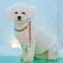 Author vivi