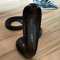 บิลลี่(งู+พอ.🐍)