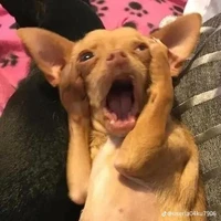 แอดเองไม่ต้องตกใจ