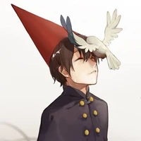 Wirt / O.P.D