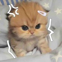ซัน🎀