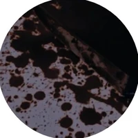autora
