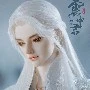 shen li