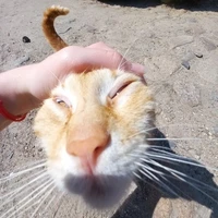 แอด