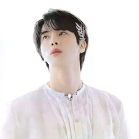 Kim Seokjin(Eomma)