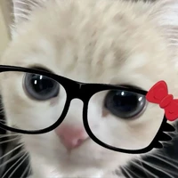 แอดเอง🤣
