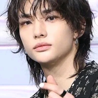 Hwang hyunjin (alfa)