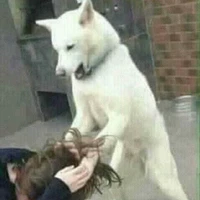 แอด