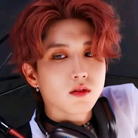Han jisung (Omega)