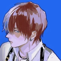 SHOTO TODOROKI (D.D)