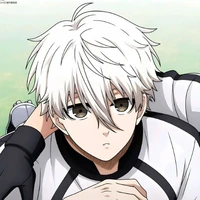Seishiro Nagi