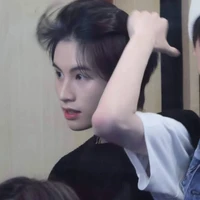ดาวเหนือ
