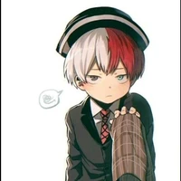 shoto todoroki (4-14)