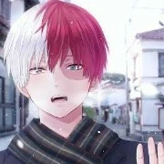 Shoto Todoroki