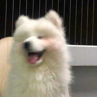 แอด><