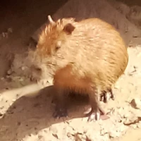 ？？？