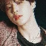 ปาร์ค จีมิน (จีมิน)