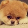 แอด