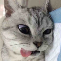แอดเองคร่า