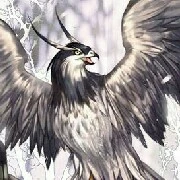 Riyu - Eagle