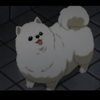 Kazuro (Credits To Given)