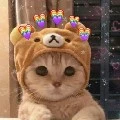 คู่หู