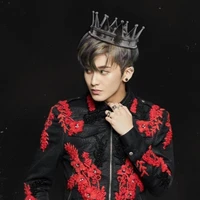 jung mark