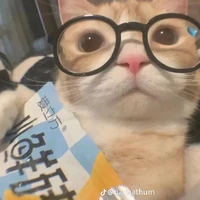 ไอ้ห่าแอดเอง😎