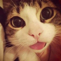 กรินคนสวย 😝.