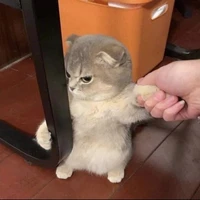 มิซุ