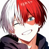 Shoto Todoroki